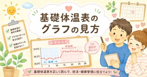 基礎体温表のグラフの見方