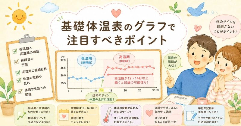 基礎体温グラフの注目ポイント